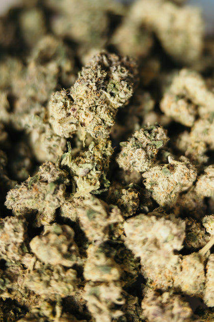 Dr. Smoke | ONLY THE FINEST SMOKE
– DR.SMOKE