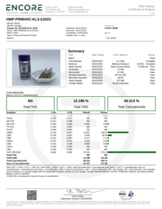 STIIIZY: HHC PRE ROLL MULTI PACK - 1000MG