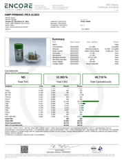 STIIIZY: HHC PRE ROLL MULTI PACK - 1000MG