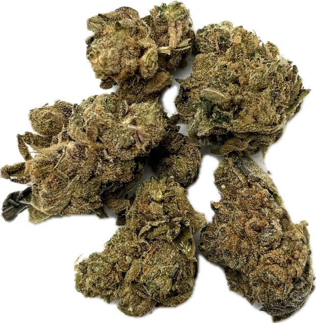 HOUSE THC-A FLOWER - APPLE FRITTER (HYBRID)