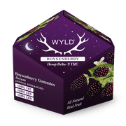 WYLD: BOYSENBERRY DREAM GUMMIES - 100MG