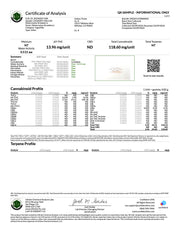 MYSTERY THC GUMMIES - JUMBO