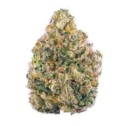 PREMIUM HOUSE THC-A FLOWER - CANDY JACK (SATIVA/HYBRID)