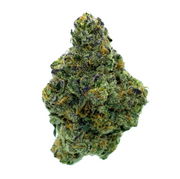 PREMIUM HOUSE THC-A FLOWER - CHEETAH RUNTZ (HYBRID)