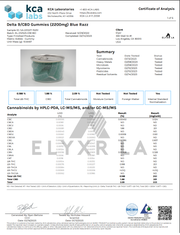 ELYXR DELTA 9 THC + CBD 1:1 GUMMIES - 400MG