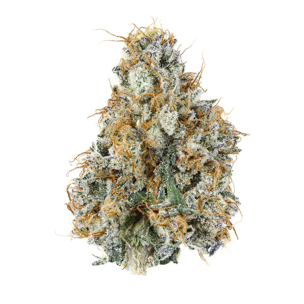 PREMIUM HOUSE THC-A FLOWER - GRAPE GARY (HYBRID)