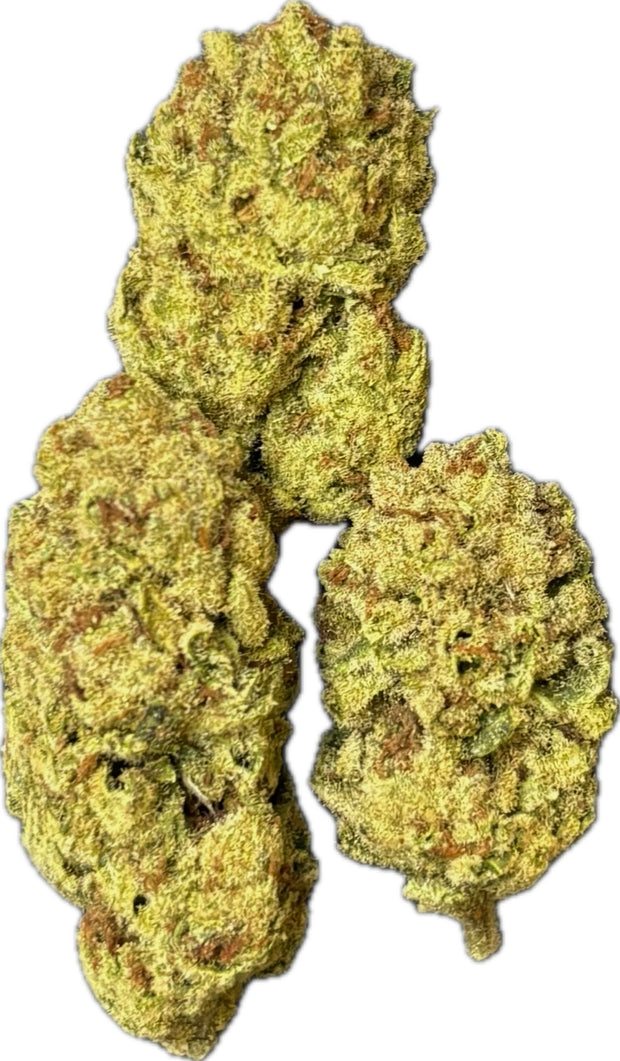 HOUSE THC-A FLOWER - GSC (HYBRID)