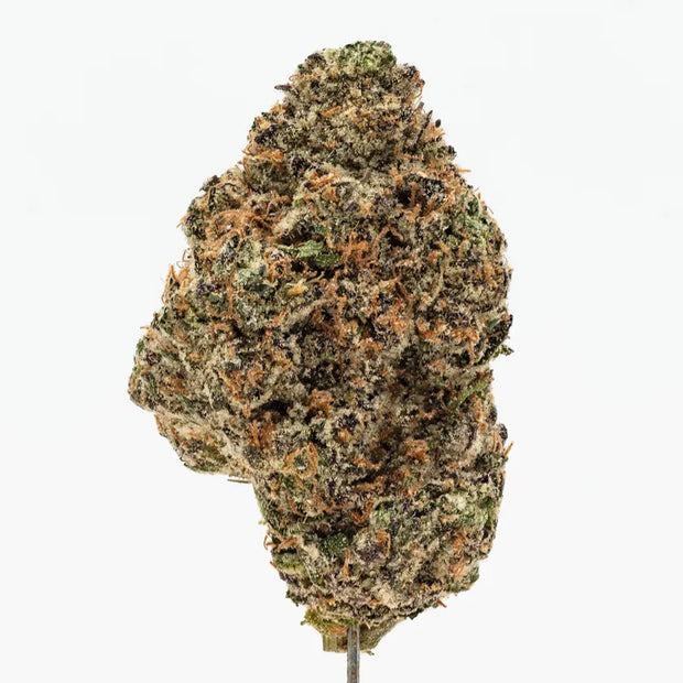 PREMIUM HOUSE THC-A FLOWER - GRAPE PIE GELATO (INDICA/HYBRID)