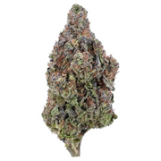 HOUSE THC-A FLOWER - GUSHERS (INDICA/HYBRID)
