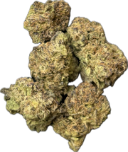 HOUSE THC-A FLOWER - GUSHERS (INDICA/HYBRID)