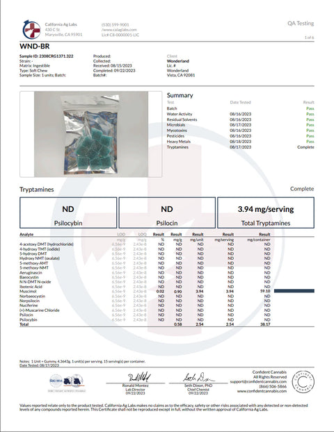 WONDERLAND: MAGIC MUSHROOM GUMMIES