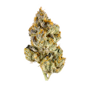 HOUSE THC-A FLOWER - LEMON CHERRY GELATO - HYBRID