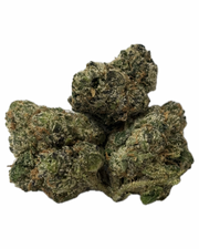 HOUSE THC-A FLOWER - LEMON CHERRY GELATO - HYBRID