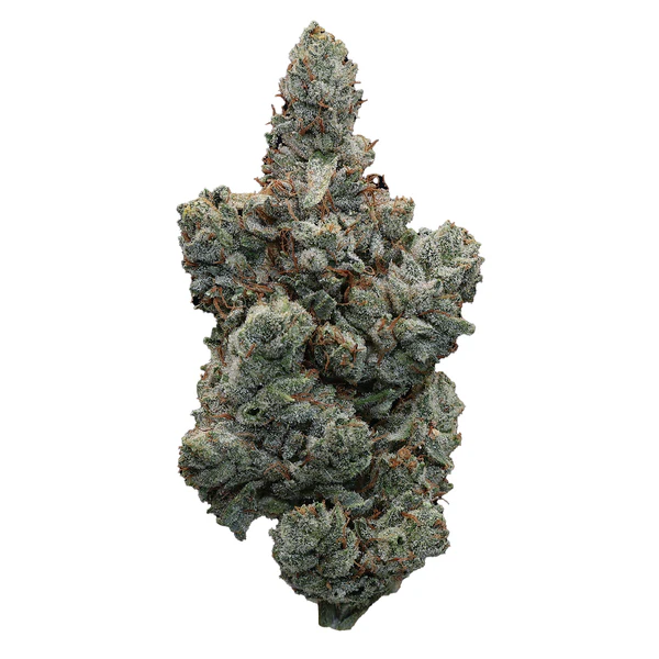 PREMIUM HOUSE THC-A FLOWER - MAGIC GLUE (INDICA/HYBRID)