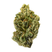 HOUSE THC-A FLOWER - MARATHON OG (INDICA)