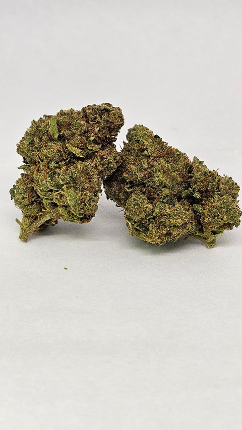 HOUSE THC-A FLOWER - MIMOSA DADDY (SATIVA)