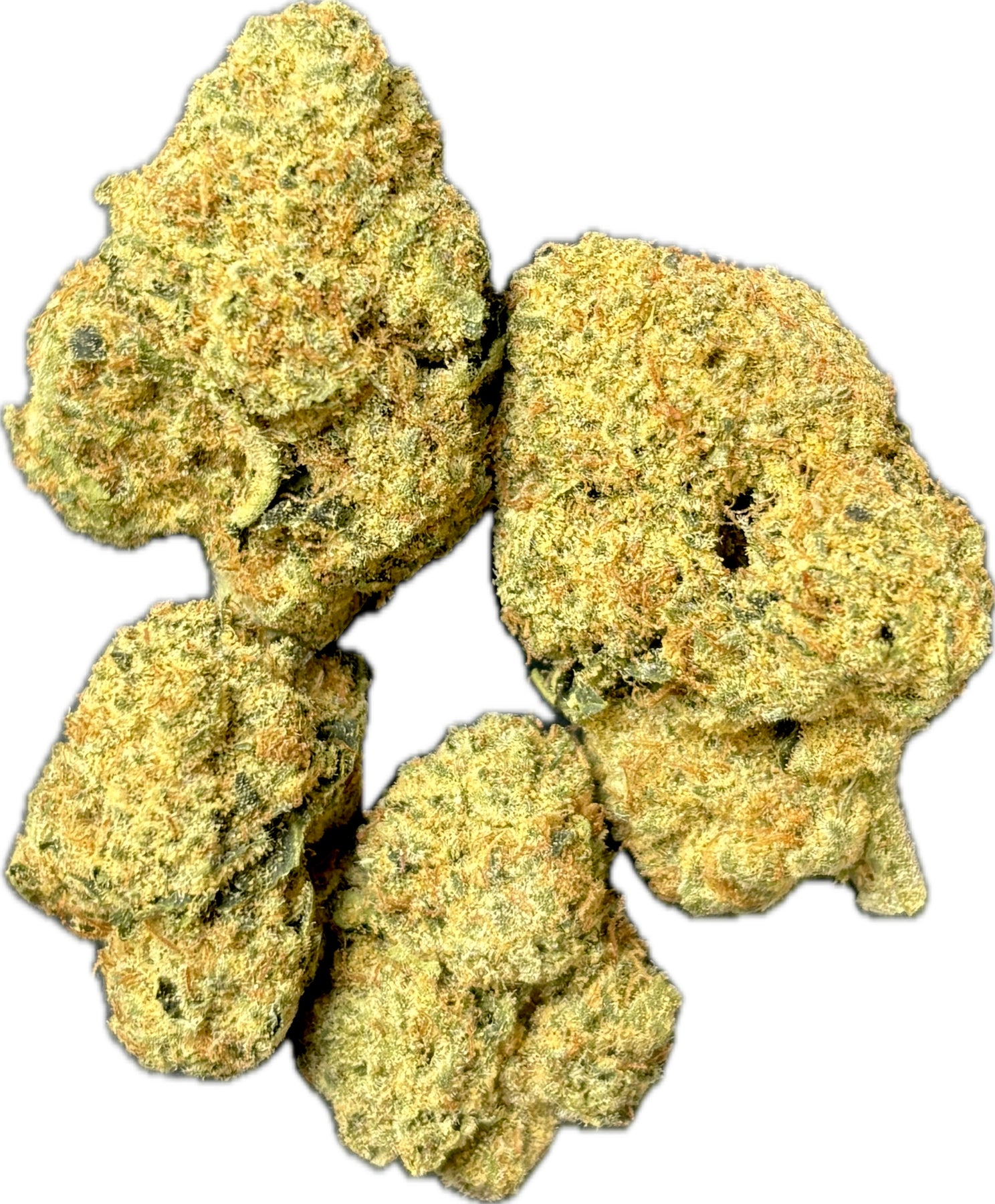 THC様確認用 PREMIUM HOUSE THC-A FLOWER - PARADISE SNACK (HYBRID) – DR.SMOKE