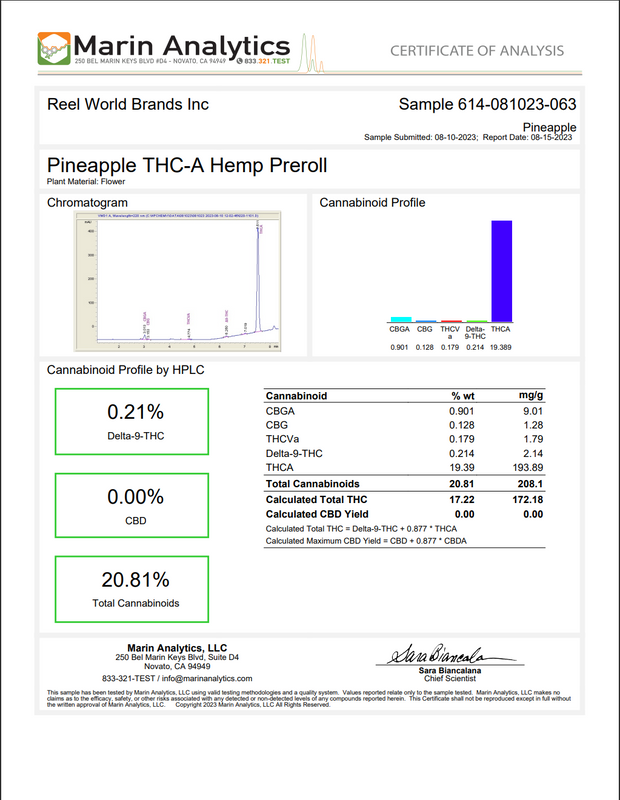 CUTLEAF - INDOOR GROWN HYDROPONIC THCA PREROLLS - 1G 2CT