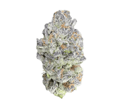HOUSE THC-A FLOWER - PURPLE OCTANE (INDICA/HYBRID)