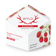 WYLD: RASPBERRY ACTIVE GUMMIES - 100MG