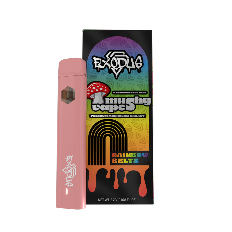 RainbowBelts_ceee8765-bf27- RainbowBelts_ceee8765-bf27-
