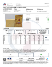 CANN: ROADIE ALL-NATURAL SOCIAL TONIC  THC + CBD - 6MG