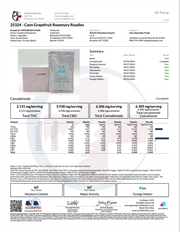 CANN: ROADIE ALL-NATURAL SOCIAL TONIC  THC + CBD - 6MG