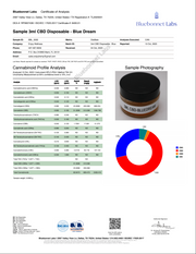 ENJOY: CBD + CBG RELIEF DISPOSABLE - 3G