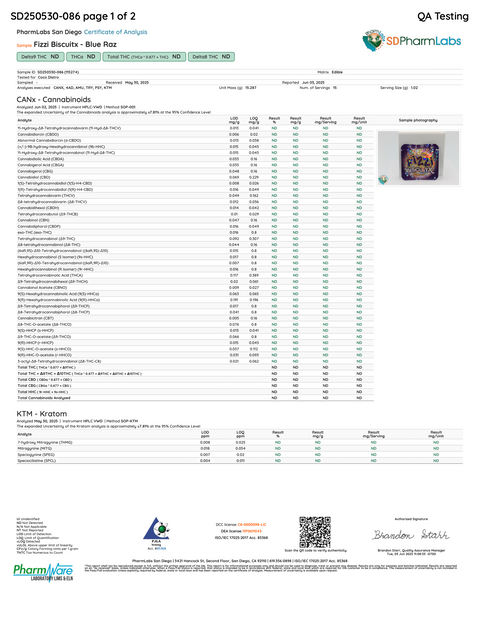 FIZZI BISCUITX: EXTREME EUPHORIA BLEND TABLET