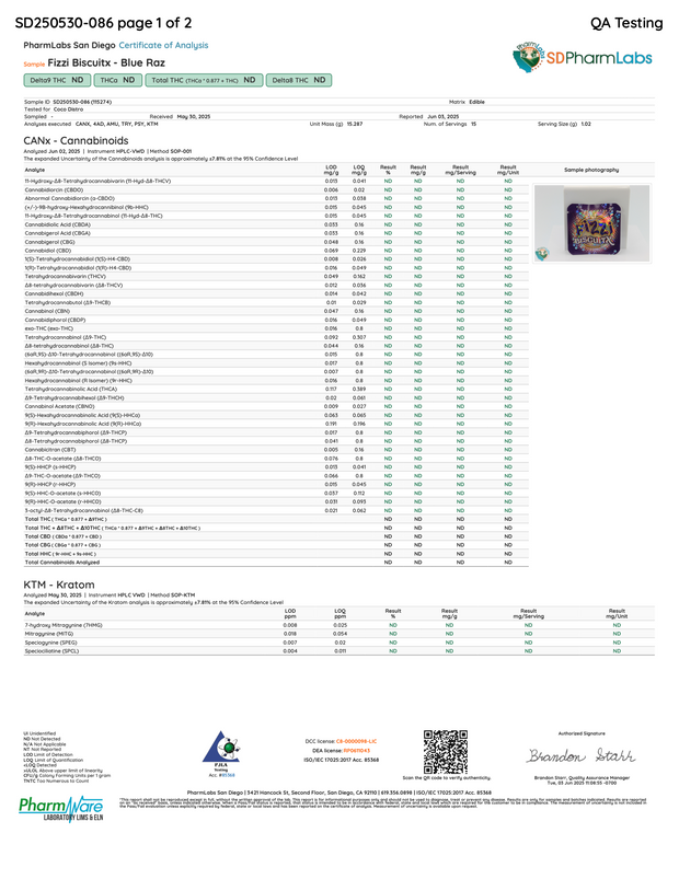 FIZZI BISCUITX: EXTREME EUPHORIA BLEND TABLET