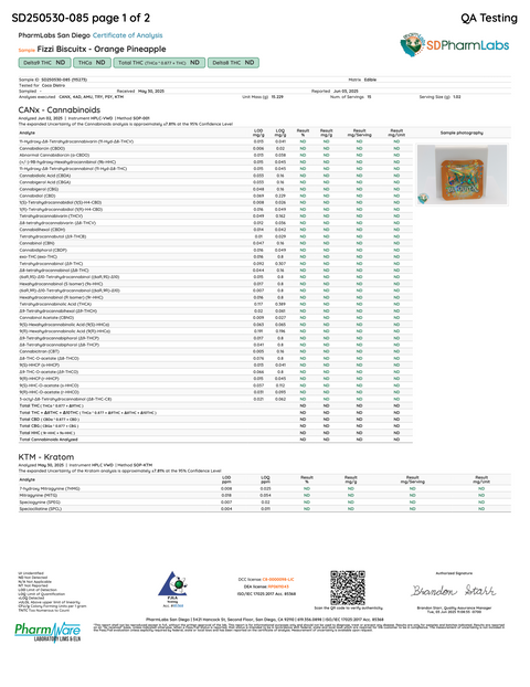 FIZZI BISCUITX: EXTREME EUPHORIA BLEND TABLET