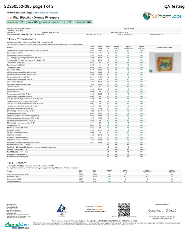 FIZZI BISCUITX: EXTREME EUPHORIA BLEND TABLET