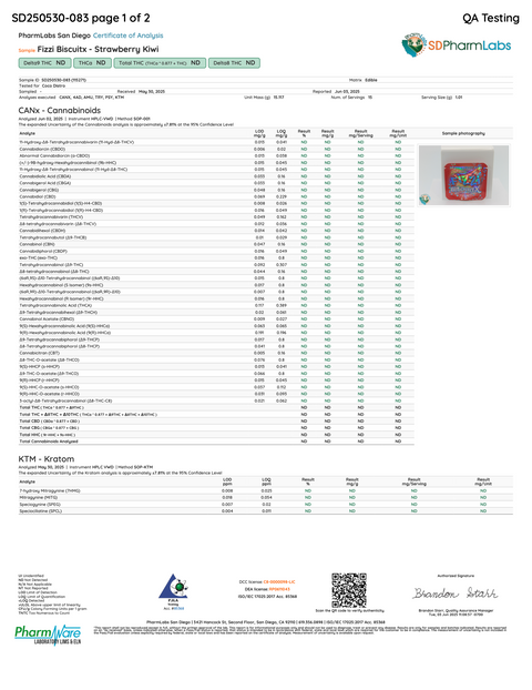 FIZZI BISCUITX: EXTREME EUPHORIA BLEND TABLET