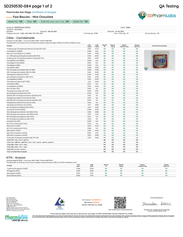 FIZZI BISCUITX: EXTREME EUPHORIA BLEND TABLET