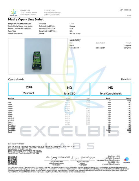 EXODUS: MUSHY VAPES - MUSHROOM DISPOSABLES - 2.2G