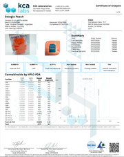 HOMETOWN HERO: FAST ACTING LIVE ROSIN THC + CBG GUMMIES - 10CT