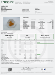 HIDDEN HILLS: DIAMOND BOYS 10K POINTERS GUMMIES - 10,000MG