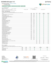 LIL MF'S: EUPHORIC HERO DOSE MUSHROOM TABLET - SINGLE