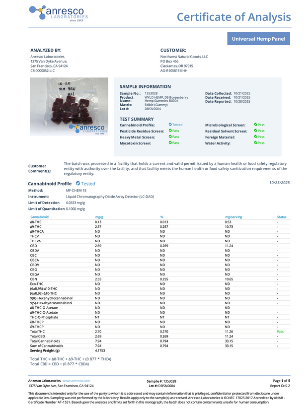 WYLD: BOYSENBERRY DREAM GUMMIES - 100MG