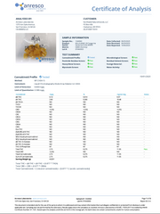 WYLD: SOUR TANGERINE PLAYFUL GUMMIES - 100MG