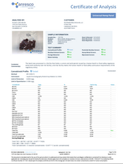 WYLD: MARIONBERRY MELLOW GUMMIES - 100MG