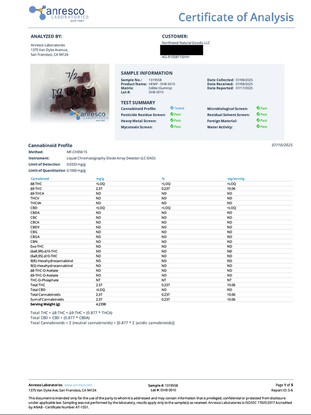 WYLD: HUCKLEBERRY PLAYFUL GUMMIES - 100MG
