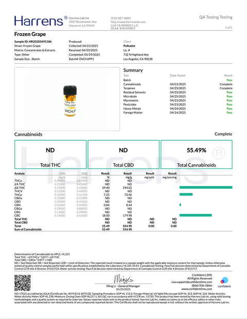 POLKA PUFF: MELTED DIAMONDS THC DISPOSABLE - 2G
