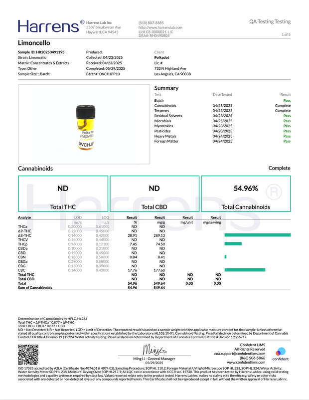 POLKA PUFF: MELTED DIAMONDS THC DISPOSABLE - 2G
