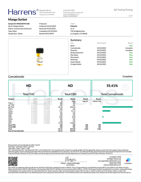 POLKA PUFF: MELTED DIAMONDS THC DISPOSABLE - 2G