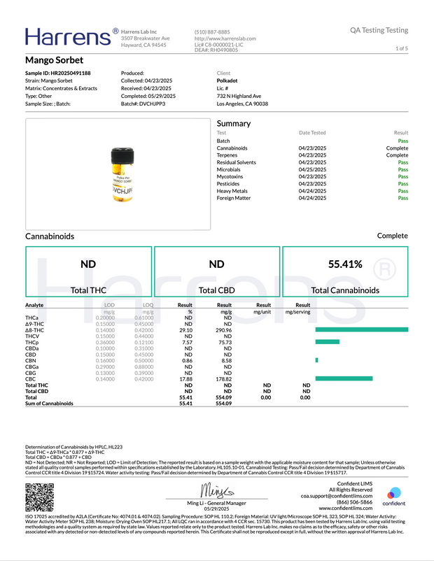 POLKA PUFF: MELTED DIAMONDS THC DISPOSABLE - 2G