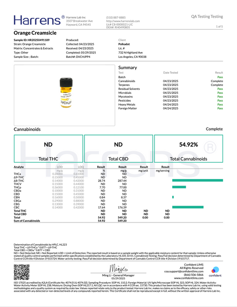 POLKA PUFF: MELTED DIAMONDS THC DISPOSABLE - 2G