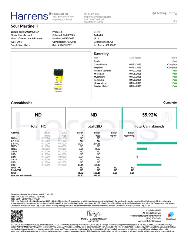 POLKA PUFF: MELTED DIAMONDS THC DISPOSABLE - 2G