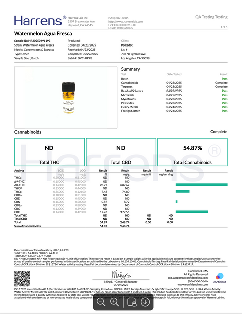 POLKA PUFF: MELTED DIAMONDS THC DISPOSABLE - 2G