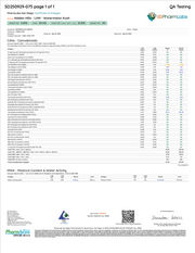 HIDDEN HILLS: LIL HASH HOMIES THCA PREROLLS - 10CT